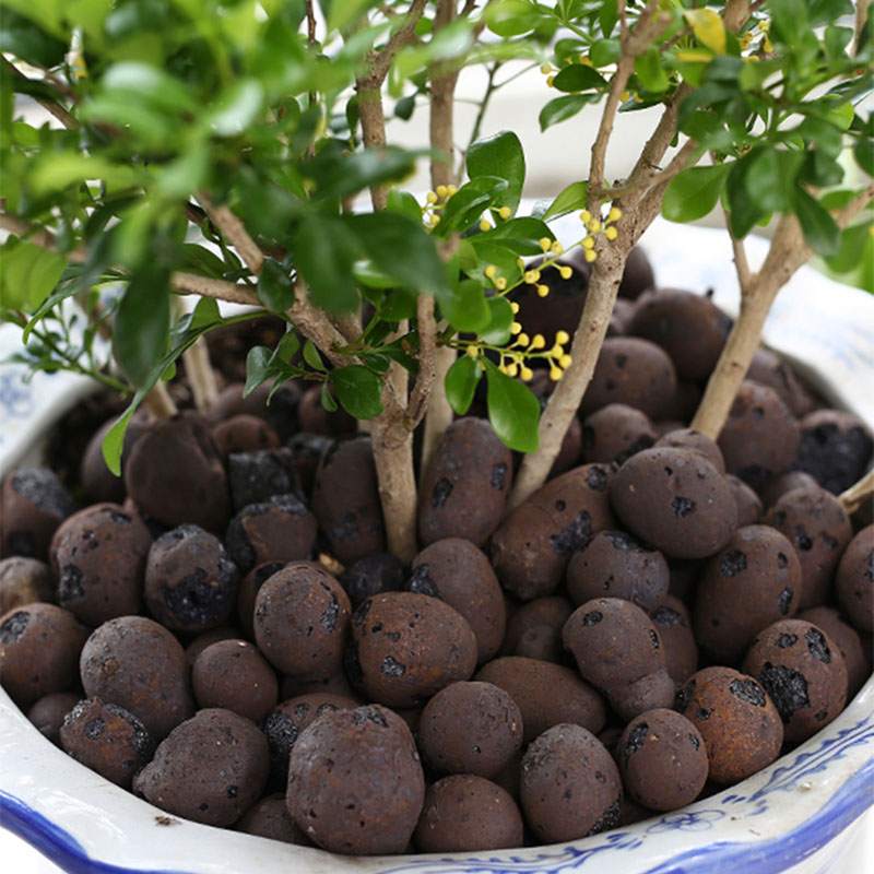 500g Organic light ceramsite C - огляд і ціна Clay Pebble Growing